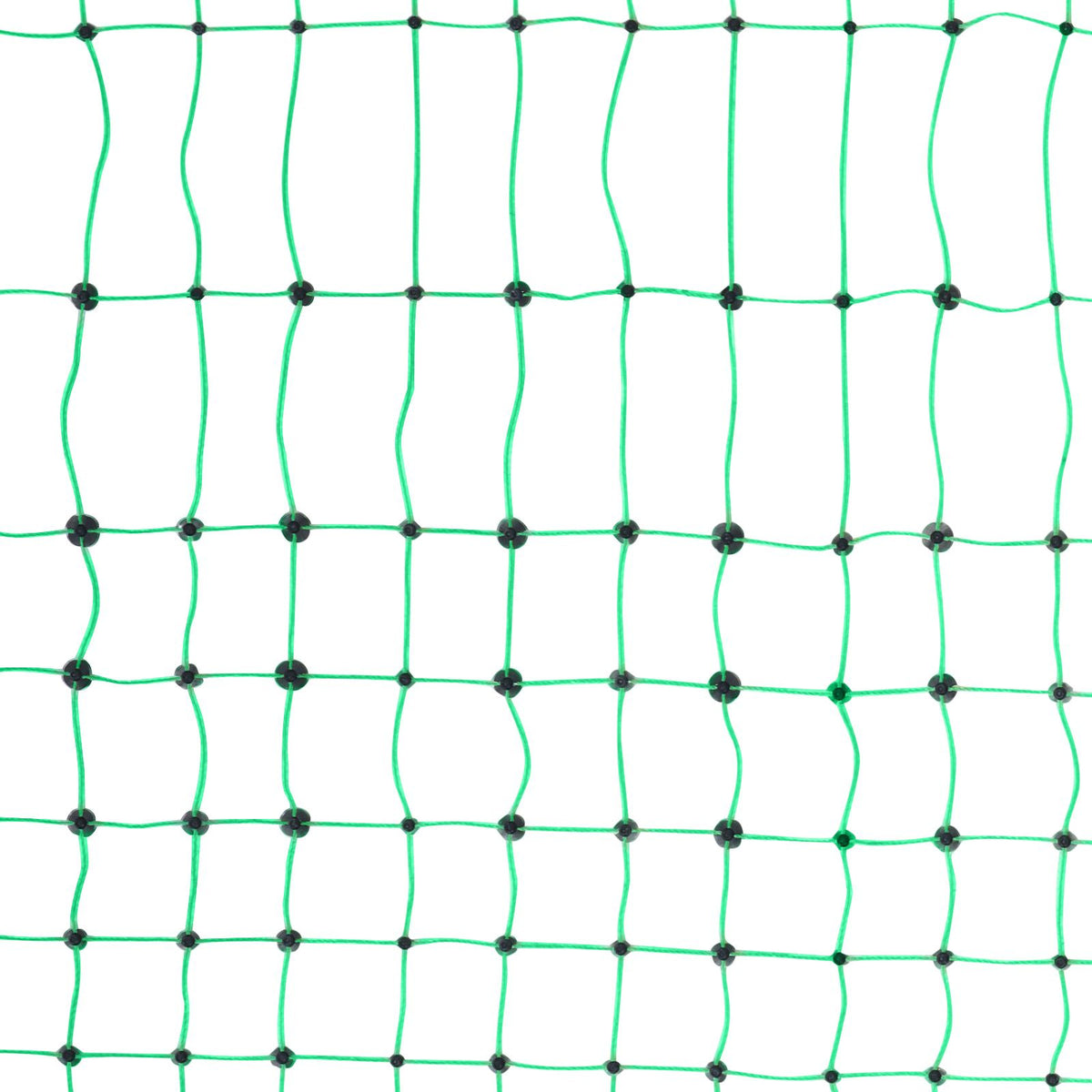 561524191