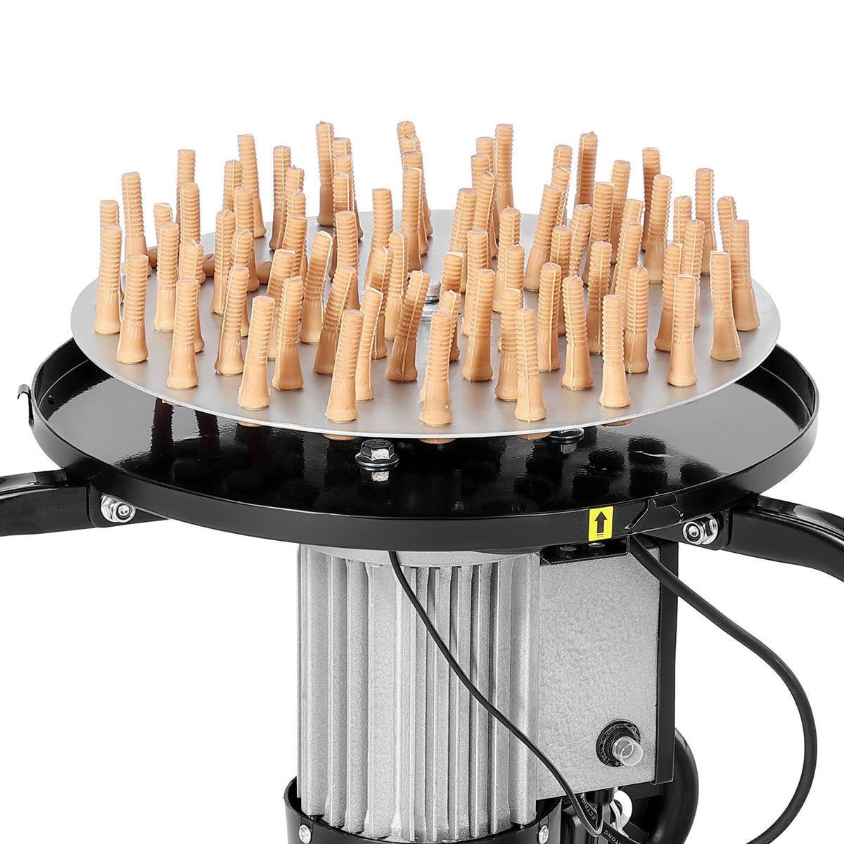 561524591